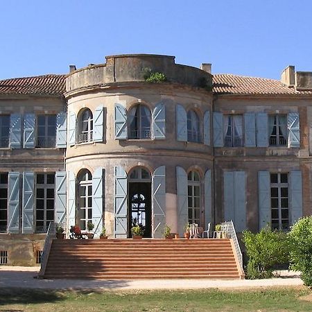 Chateau De Clermont-Saves L'Isle Jourdain Bagian luar foto