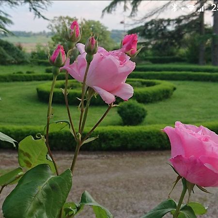 Chateau De Clermont-Saves L'Isle Jourdain Bagian luar foto
