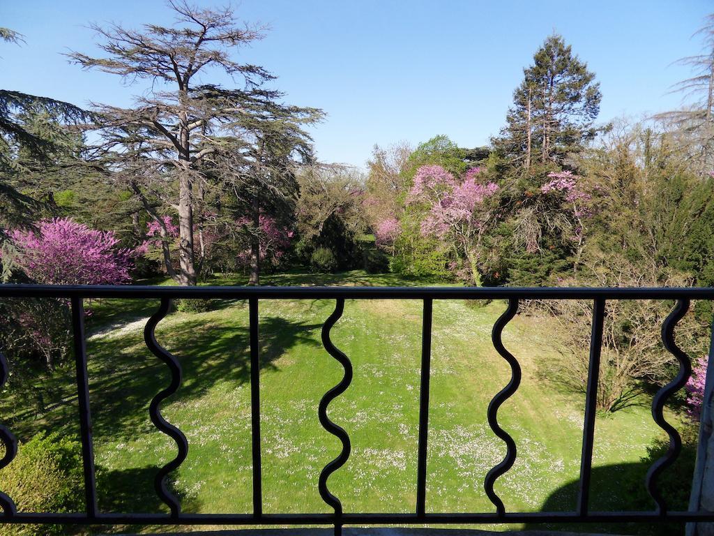 Chateau De Clermont-Saves L'Isle Jourdain Ruang foto